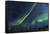 Aurora borealis, Northern Lights, near Fairbanks, Alaska-Stuart Westmorland-Framed Stretched Canvas