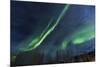 Aurora borealis, Northern Lights, near Fairbanks, Alaska-Stuart Westmorland-Mounted Photographic Print