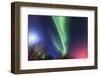 Aurora borealis, Northern Lights, near Fairbanks, Alaska-Stuart Westmorland-Framed Photographic Print