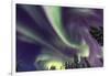 Aurora borealis, Northern Lights, near Fairbanks, Alaska-Stuart Westmorland-Framed Photographic Print