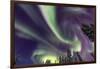 Aurora borealis, Northern Lights, near Fairbanks, Alaska-Stuart Westmorland-Framed Photographic Print