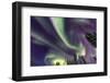 Aurora borealis, Northern Lights, near Fairbanks, Alaska-Stuart Westmorland-Framed Photographic Print