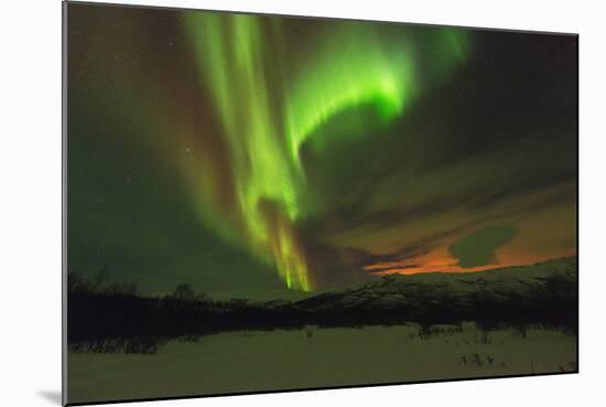 Aurora Borealis (Northern Lights) on Kungsleden (Kings Trail)-Christian Kober-Mounted Photographic Print