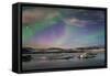 Aurora borealis (Northern Lights) over Jokulsarlon Glacial Lagoon, Iceland, Polar Regions-Miles Ertman-Framed Stretched Canvas