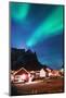 Aurora Borealis (Northern Lights), Reine, Moskenesoy, Lofoten Islands, Norway, Scandinavia, Europe-Christian Kober-Mounted Photographic Print