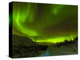 Aurora Borealis (Northern Lights) Seen over a Snow Covered Road, Troms, North Norway, Scandinavia, -Neale Clark-Stretched Canvas