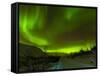 Aurora Borealis (Northern Lights) Seen over a Snow Covered Road, Troms, North Norway, Scandinavia, -Neale Clark-Framed Stretched Canvas