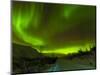 Aurora Borealis (Northern Lights) Seen over a Snow Covered Road, Troms, North Norway, Scandinavia, -Neale Clark-Mounted Photographic Print