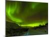 Aurora Borealis (Northern Lights) Seen over a Snow Covered Road, Troms, North Norway, Scandinavia, -Neale Clark-Mounted Photographic Print