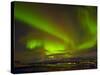 Aurora Borealis (Northern Lights) Seen over the Lyngen Alps, from Sjursnes, Ullsfjord, Troms, North-Neale Clark-Stretched Canvas