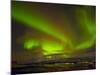 Aurora Borealis (Northern Lights) Seen over the Lyngen Alps, from Sjursnes, Ullsfjord, Troms, North-Neale Clark-Mounted Photographic Print