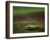 Aurora Borealis, Northern Lights, Troms Region, Norway-Gavin Hellier-Framed Photographic Print