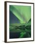 Aurora Borealis, Northern Lights, Troms Region, Norway-Gavin Hellier-Framed Photographic Print