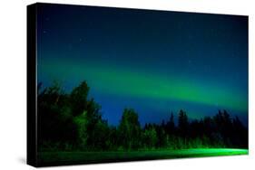 Aurora Borealis (Northern Lights) viewed from Denali Princess Wilderness Lodge, Alaska, USA-Laura Grier-Stretched Canvas