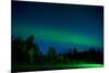 Aurora Borealis (Northern Lights) viewed from Denali Princess Wilderness Lodge, Alaska, USA-Laura Grier-Mounted Photographic Print