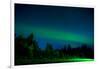 Aurora Borealis (Northern Lights) viewed from Denali Princess Wilderness Lodge, Alaska, USA-Laura Grier-Framed Photographic Print