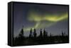 Aurora Borealis Northern Lights-null-Framed Stretched Canvas