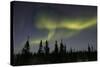 Aurora Borealis Northern Lights-null-Stretched Canvas