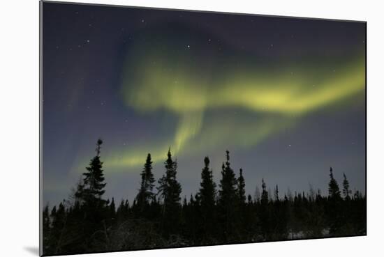 Aurora Borealis Northern Lights-null-Mounted Photographic Print