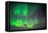 Aurora Borealis or Northern Lights, Abisko, Lapland, Sweden-Ragnar Th Sigurdsson-Framed Stretched Canvas