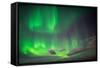 Aurora Borealis or Northern Lights, Abisko, Lapland, Sweden-Ragnar Th Sigurdsson-Framed Stretched Canvas