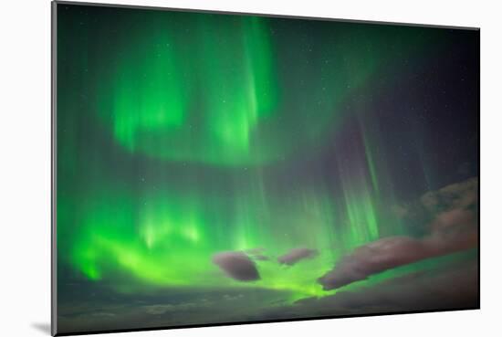 Aurora Borealis or Northern Lights, Abisko, Lapland, Sweden-Ragnar Th Sigurdsson-Mounted Photographic Print