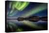 Aurora Borealis or Northern Lights at Lake Thingvallavatn, Thingvellir National Park-null-Stretched Canvas