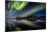 Aurora Borealis or Northern Lights at Lake Thingvallavatn, Thingvellir National Park-null-Mounted Photographic Print