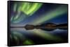 Aurora Borealis or Northern Lights at Lake Thingvallavatn, Thingvellir National Park-null-Framed Stretched Canvas