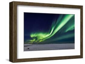 Aurora Borealis or Northern Lights, Iceland, Power Lines by the Jokulsarlon-null-Framed Photographic Print