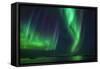 Aurora Borealis or Northern Lights, Iceland-Arctic-Images-Framed Stretched Canvas