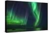 Aurora Borealis or Northern Lights, Iceland-Arctic-Images-Stretched Canvas