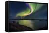 Aurora Borealis or Northern Lights, Iceland-Arctic-Images-Framed Stretched Canvas