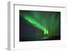 Aurora Borealis or Northern Lights, Iceland-Arctic-Images-Framed Photographic Print