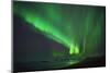 Aurora Borealis or Northern Lights, Iceland-Arctic-Images-Mounted Photographic Print