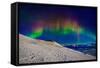 Aurora Borealis or Northern Lights in Full Color Seen from the Abisko Sky Station, Abisko-null-Framed Stretched Canvas