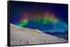 Aurora Borealis or Northern Lights in Full Color Seen from the Abisko Sky Station, Abisko-null-Framed Stretched Canvas