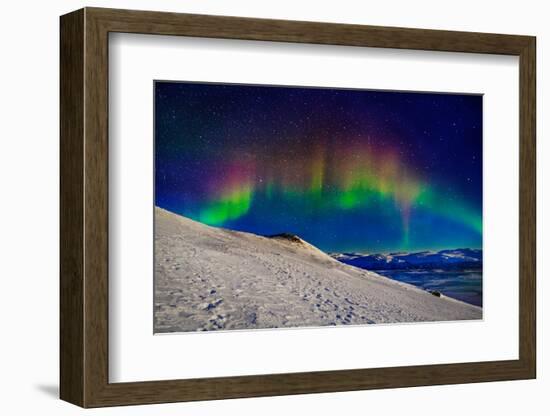 Aurora Borealis or Northern Lights in Full Color Seen from the Abisko Sky Station, Abisko-null-Framed Photographic Print