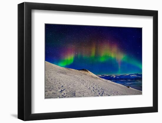 Aurora Borealis or Northern Lights in Full Color Seen from the Abisko Sky Station, Abisko-null-Framed Photographic Print