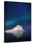 Aurora Borealis or Northern Lights in Iceland-Arctic-Images-Stretched Canvas