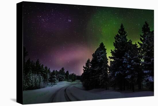 Aurora Borealis or Northern Lights, Lapland, Sweden-null-Stretched Canvas