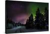 Aurora Borealis or Northern Lights, Lapland, Sweden-null-Stretched Canvas