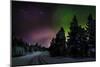 Aurora Borealis or Northern Lights, Lapland, Sweden-null-Mounted Photographic Print