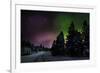 Aurora Borealis or Northern Lights, Lapland, Sweden-null-Framed Photographic Print