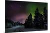 Aurora Borealis or Northern Lights, Lapland, Sweden-null-Mounted Photographic Print