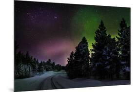 Aurora Borealis or Northern Lights, Lapland, Sweden-null-Mounted Premium Photographic Print