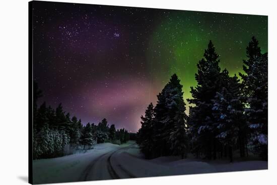 Aurora Borealis or Northern Lights, Lapland, Sweden-null-Stretched Canvas