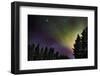 Aurora Borealis or Northern Lights, Lapland, Sweden-null-Framed Photographic Print