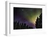 Aurora Borealis or Northern Lights, Lapland, Sweden-null-Framed Photographic Print