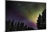 Aurora Borealis or Northern Lights, Lapland, Sweden-null-Mounted Photographic Print